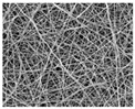 graphic file with name nanomaterials-09-00367-i012.jpg