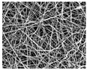 graphic file with name nanomaterials-09-00367-i007.jpg