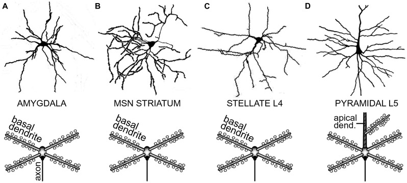 FIGURE 2