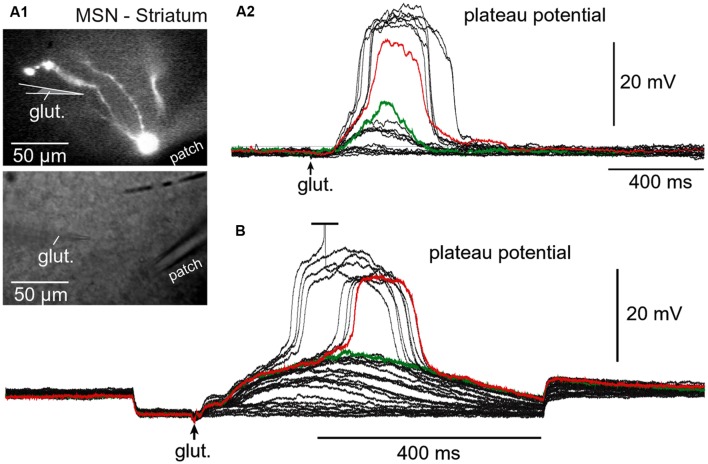 FIGURE 6