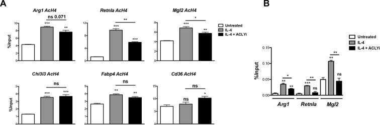 Figure 4—figure supplement 1.