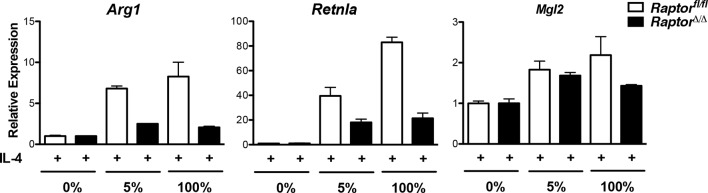 Figure 6—figure supplement 1.