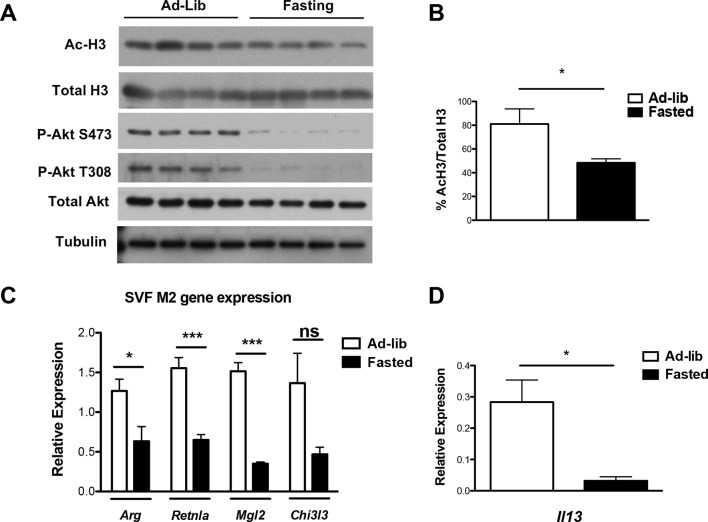 Figure 6—figure supplement 2.