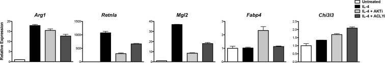 Figure 4—figure supplement 2.