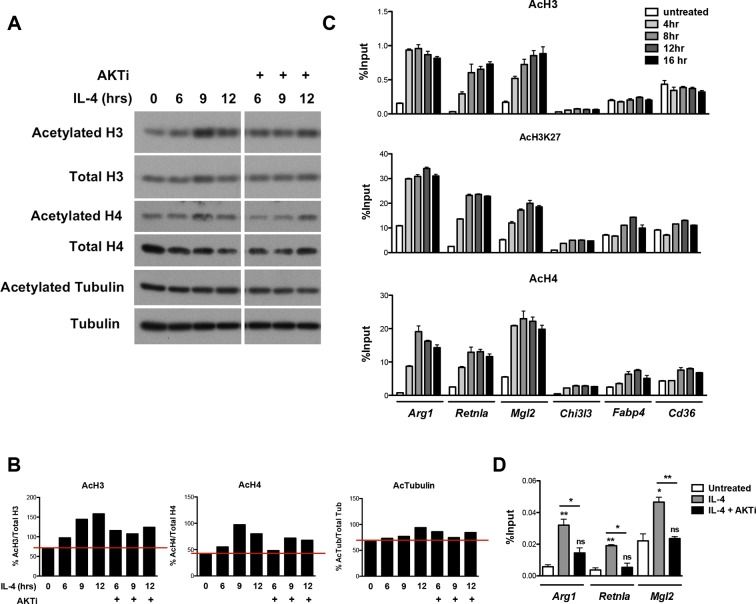 Figure 2—figure supplement 2.