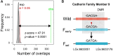 <sc>Fig</sc>. 4.