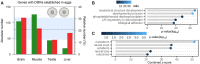 <sc>Fig</sc>. 2.