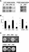 FIG. 2.