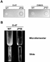 FIG. 3.