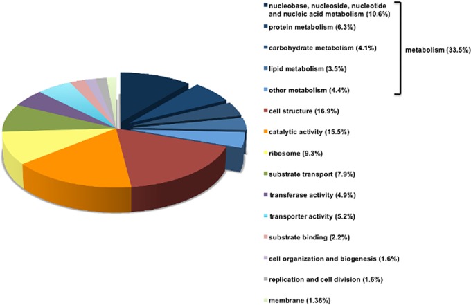 FIG 3 