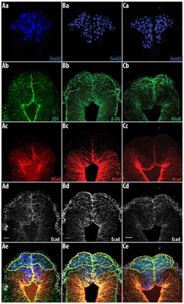 Fig. 3.