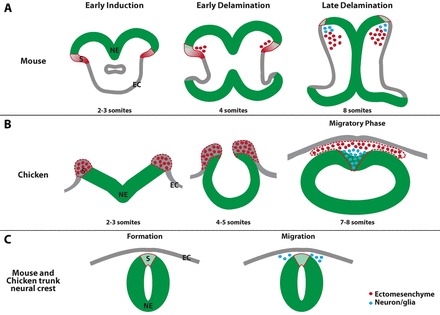 Fig. 9.