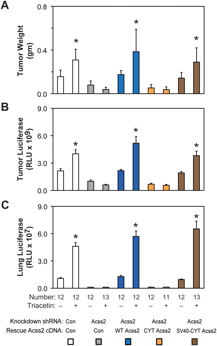 Fig 12