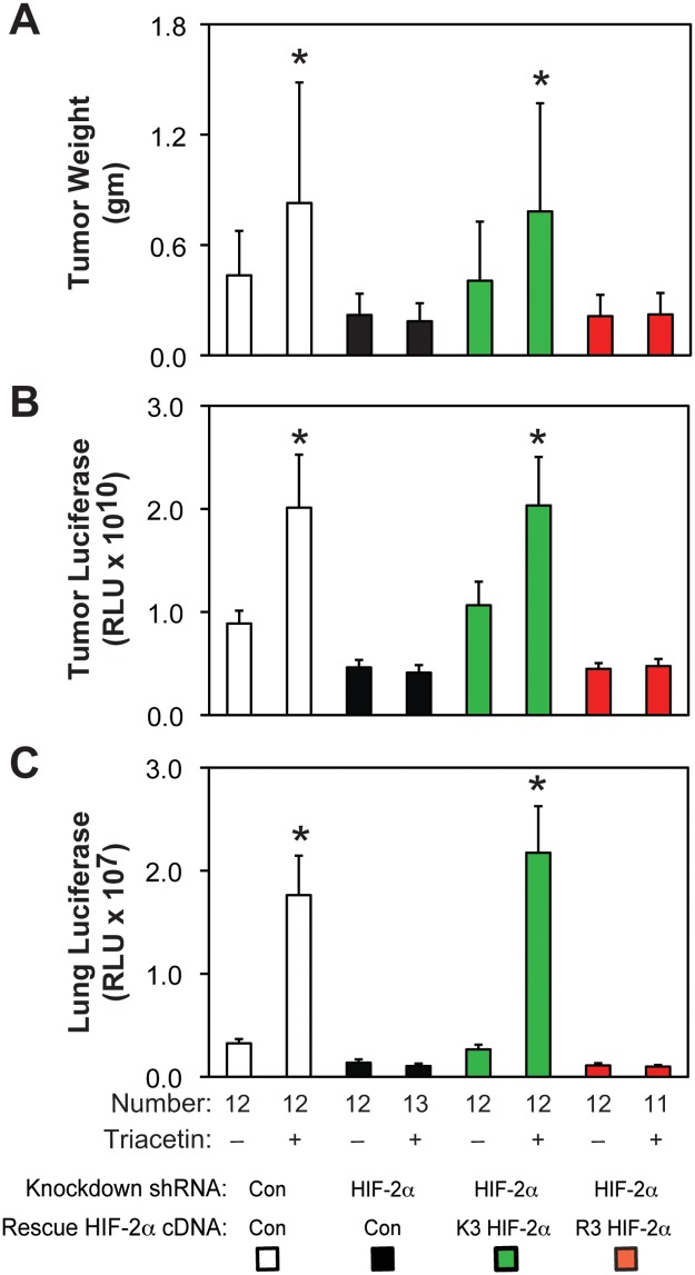 Fig 11