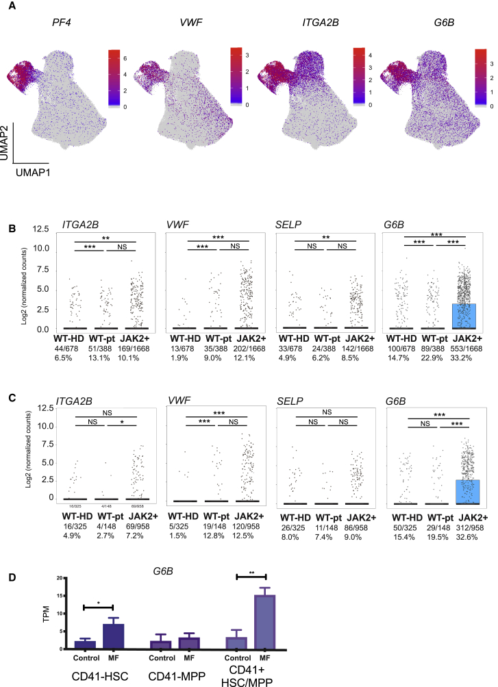 Figure 6