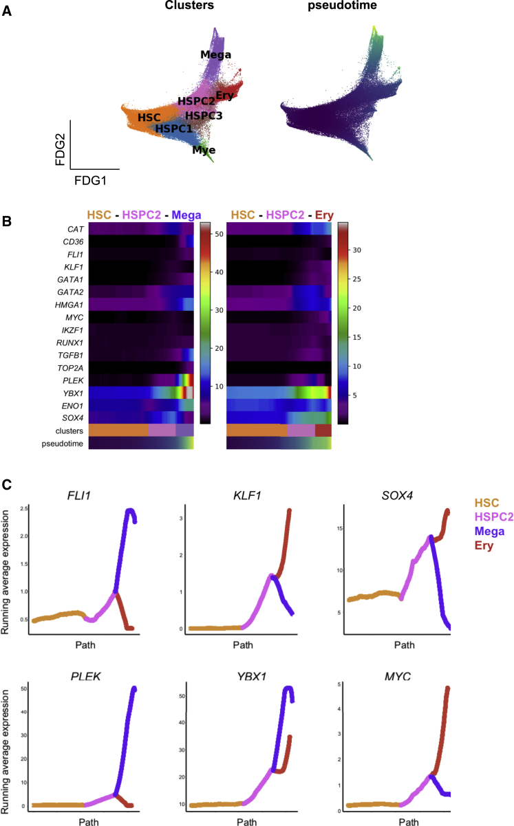 Figure 4