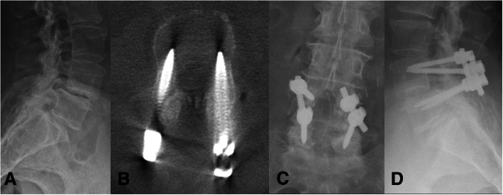 Fig. 2