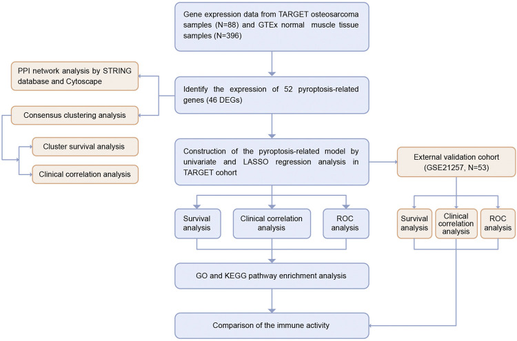 FIGURE 1