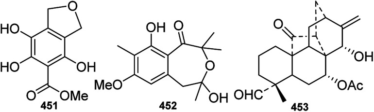 Fig. 16