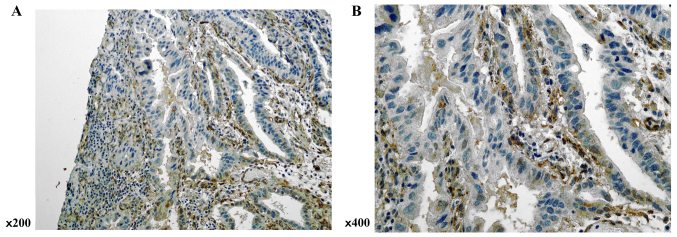 Figure 3.