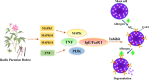 Fig. 11