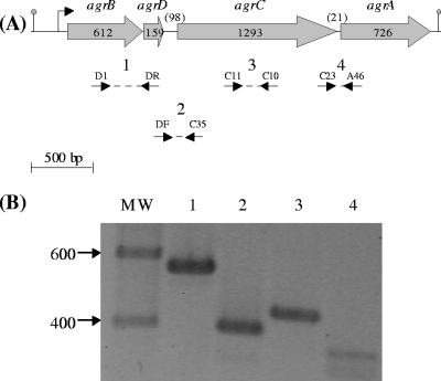 FIG. 5.