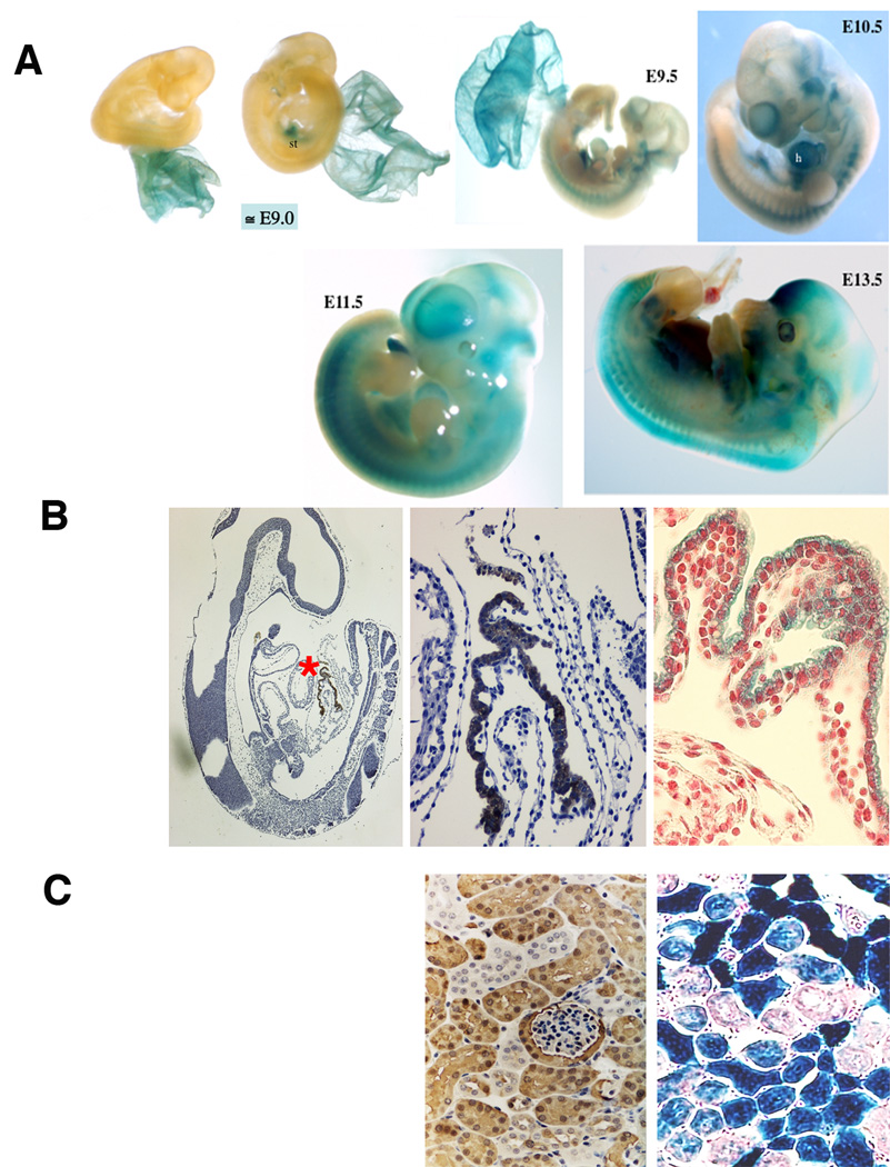 Fig. 3