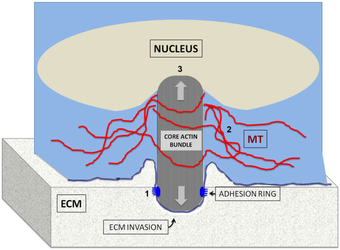 Figure 8