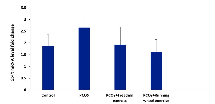 Fig.2