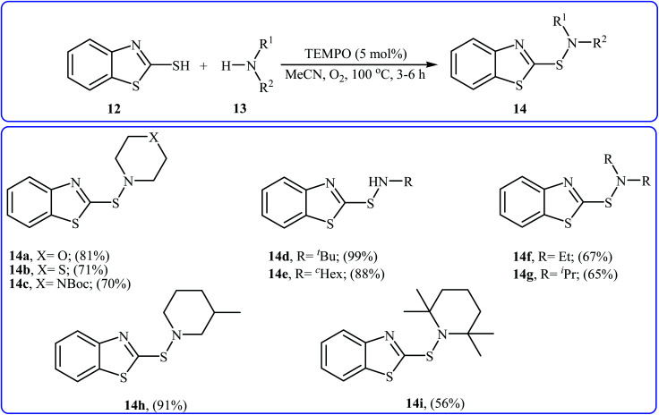 Scheme 5