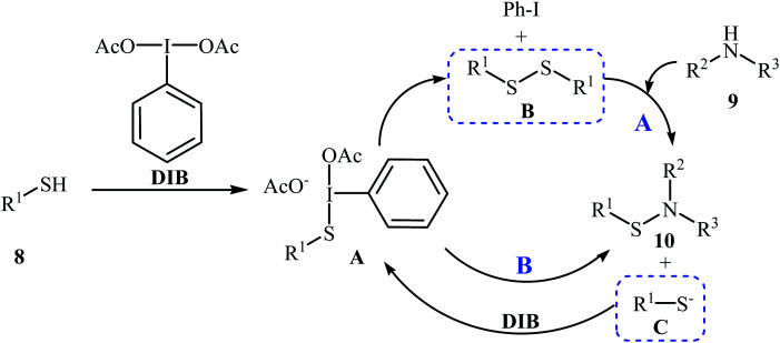 Scheme 4