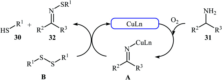 Scheme 16