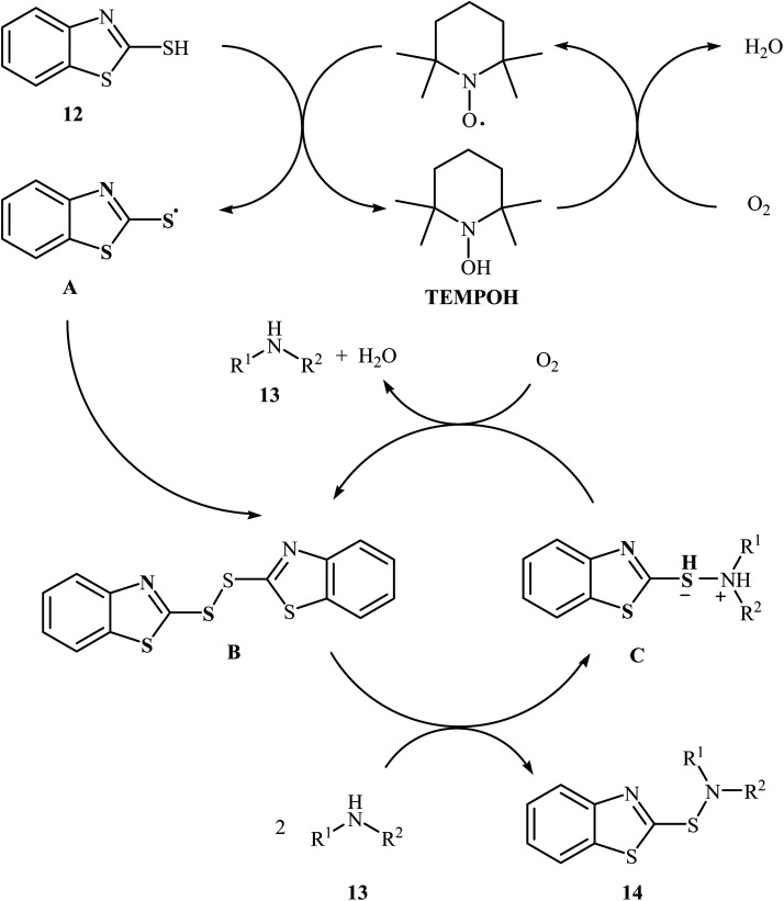 Scheme 6