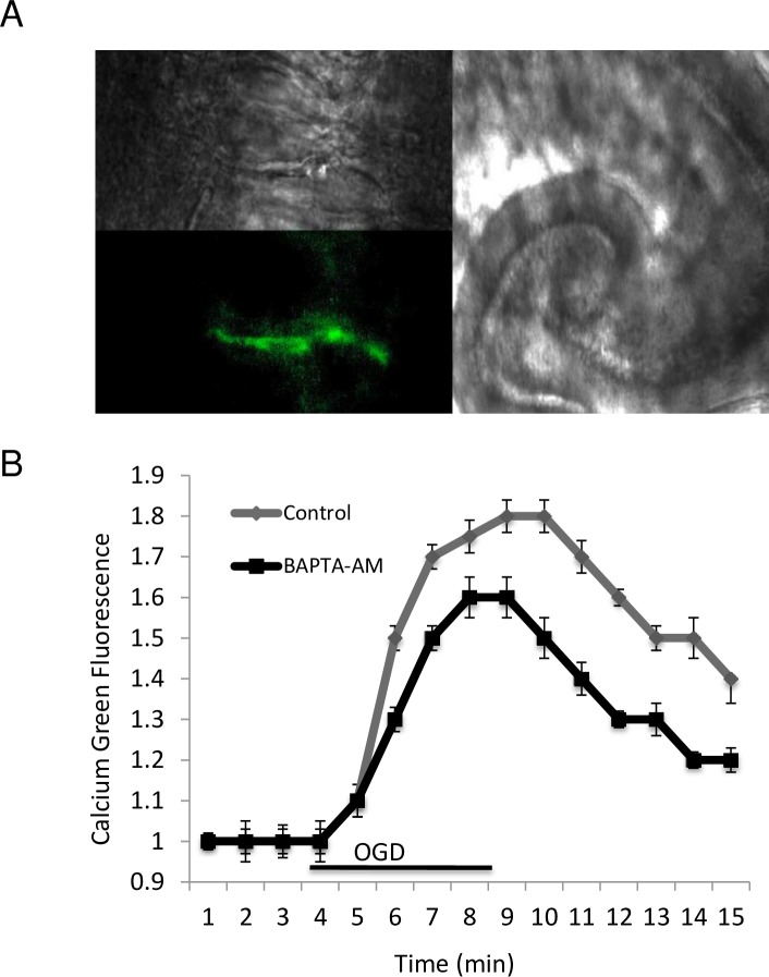 Fig 5