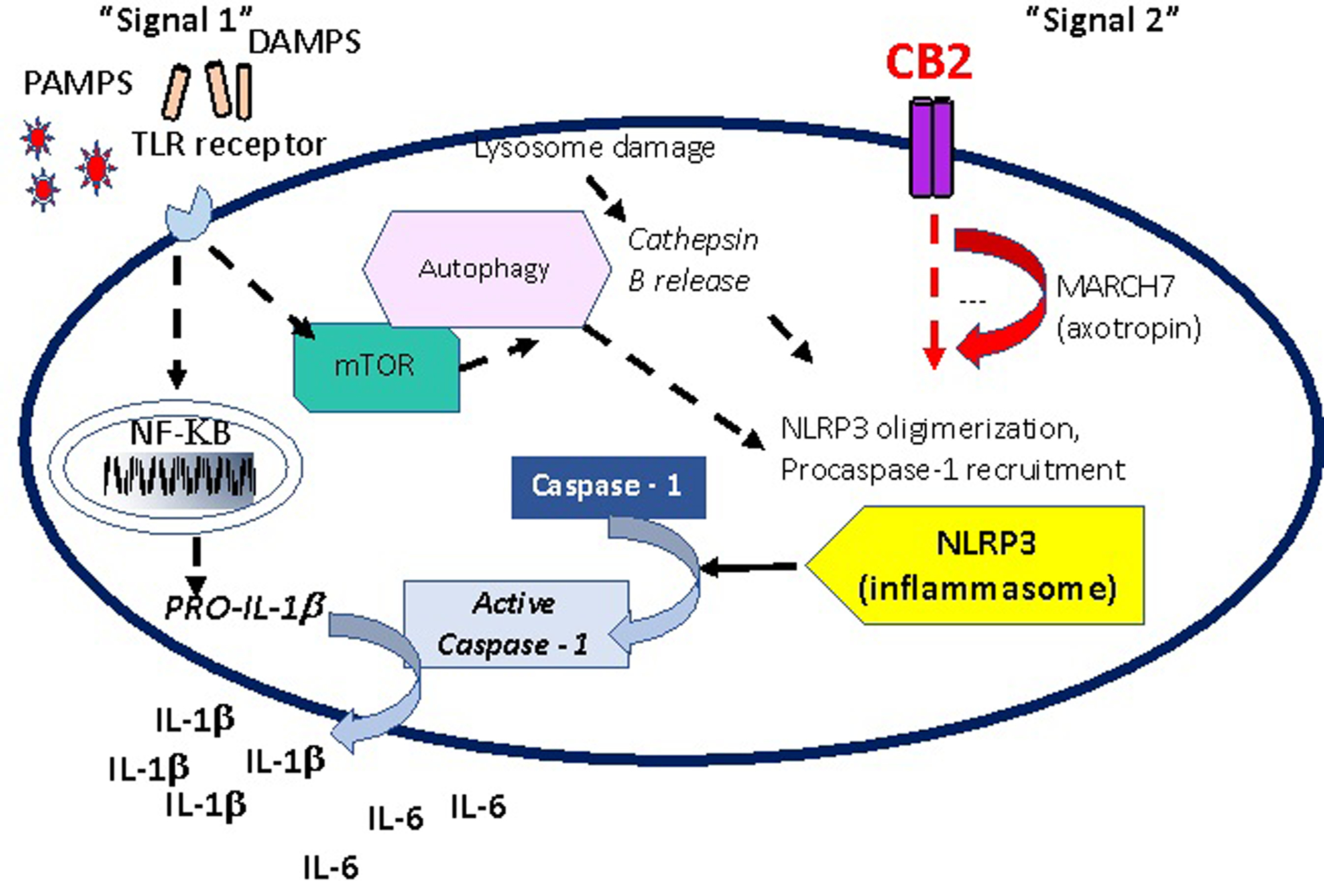 Figure 2.