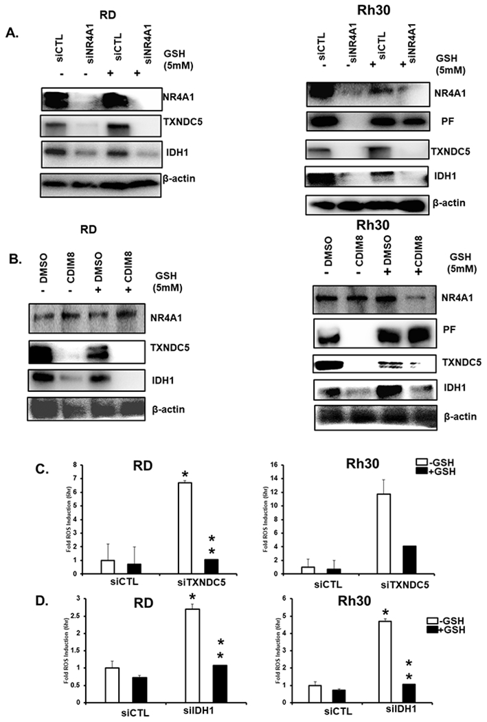 Figure 5.