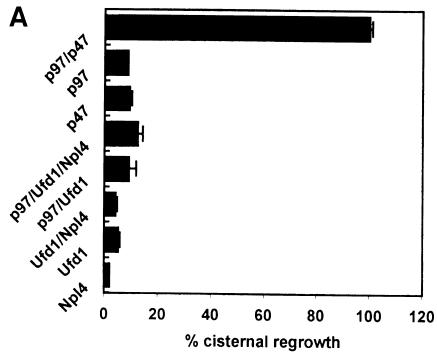 graphic file with name cdd230f7a.jpg