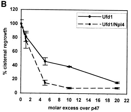 graphic file with name cdd230f7b.jpg