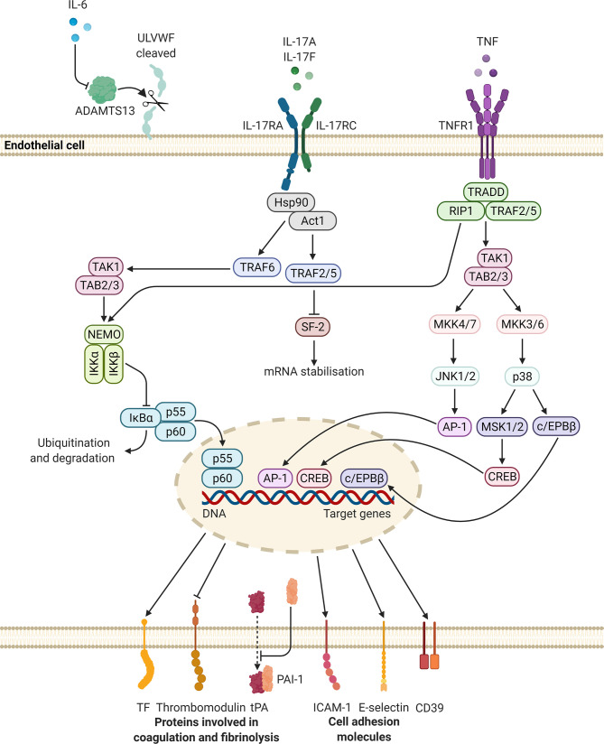 Figure 3