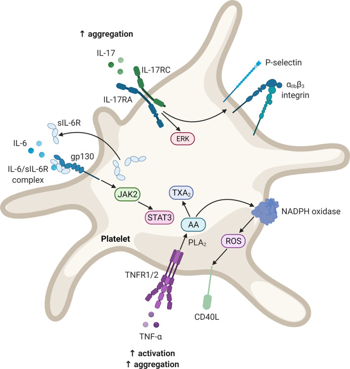 Figure 2