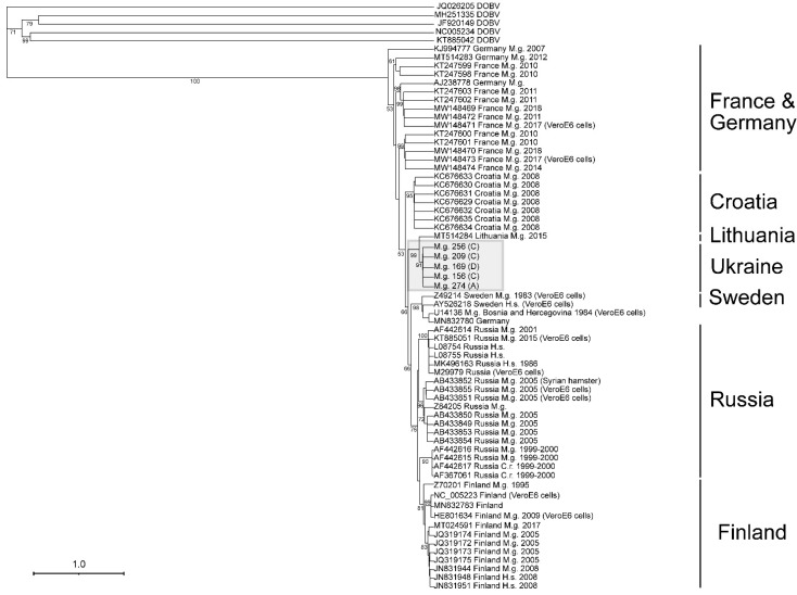 Figure 5