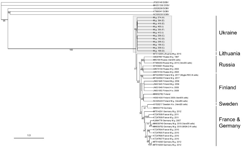 Figure 6