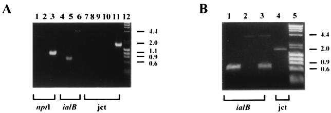 FIG. 3