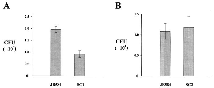 FIG. 7