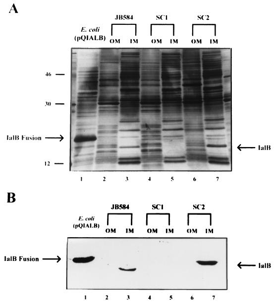 FIG. 6