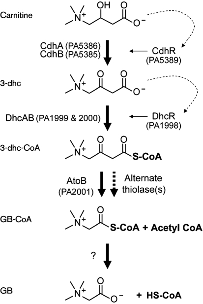 Fig. 2.