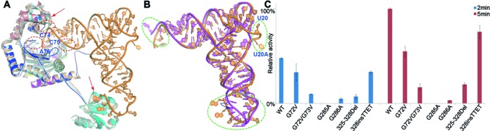 Figure 3.