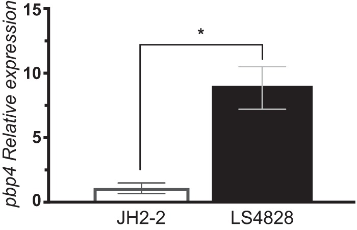 FIG 3 