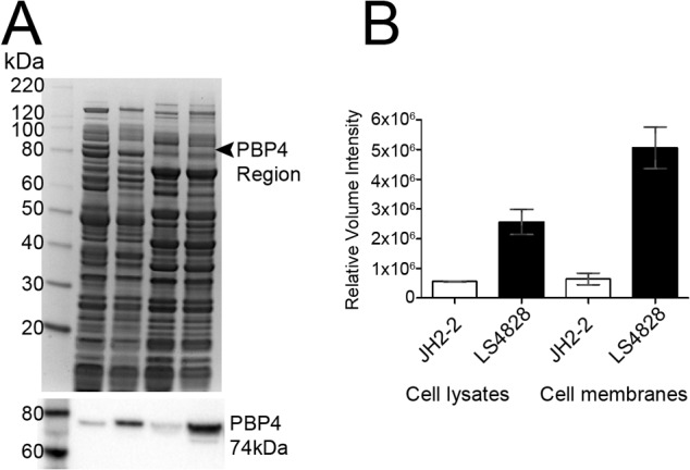 FIG 5 