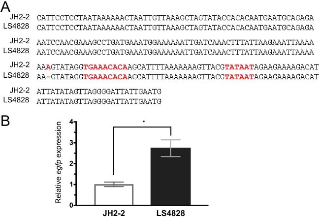 FIG 4 